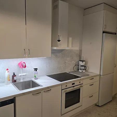 Rauhallinen Ja Viihtyisae Asunto 4 Erillisaenkyae Apartment