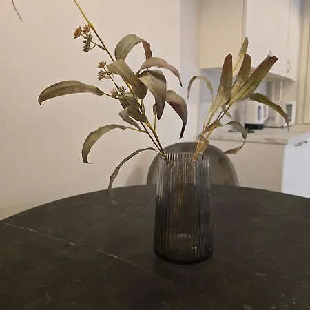 Rauhallinen Ja Viihtyisae Asunto 4 Erillisaenkyae Apartment