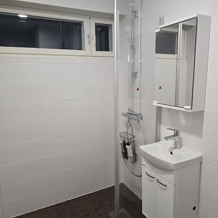 Apartment Rauhallinen Ja Viihtyisae Asunto 4 Erillisaenkyae Salo (Salo)